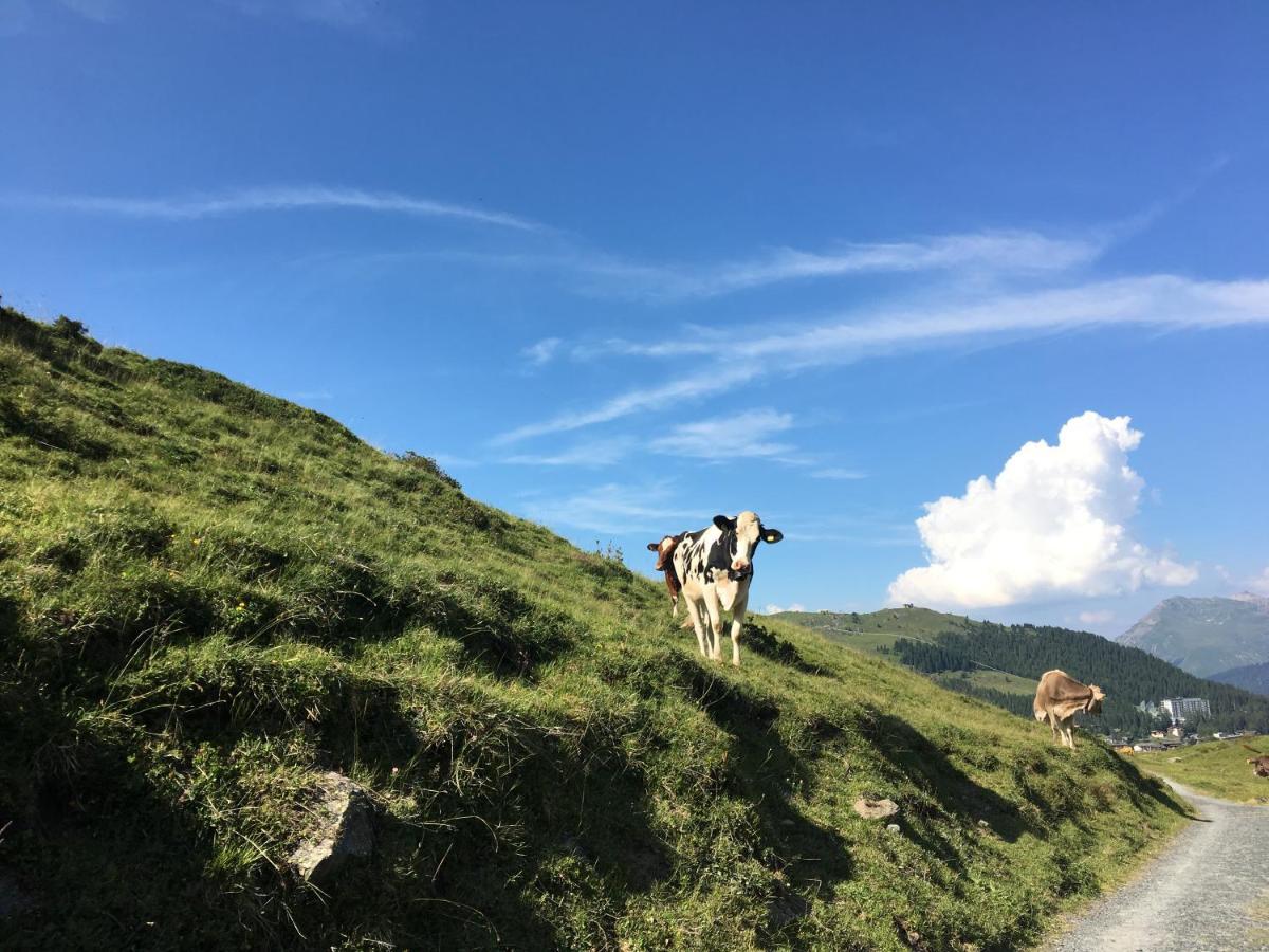 Marlenca 2 * Arosa